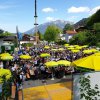 Maibaum 2019